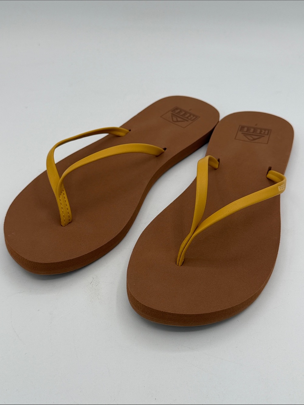 Reef Bliss Nights, golden apricot